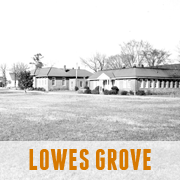 Lowes Grove