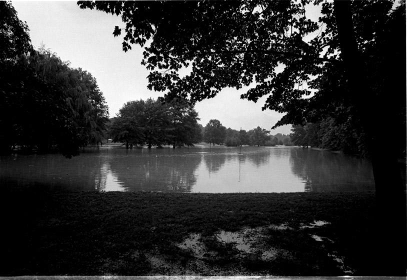 rainstormfloodsforesthillspark_2_080567.jpg