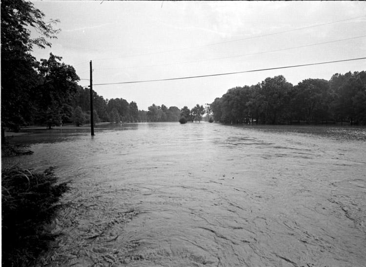 rainstormfloodsforesthillspark_3_080567.jpg