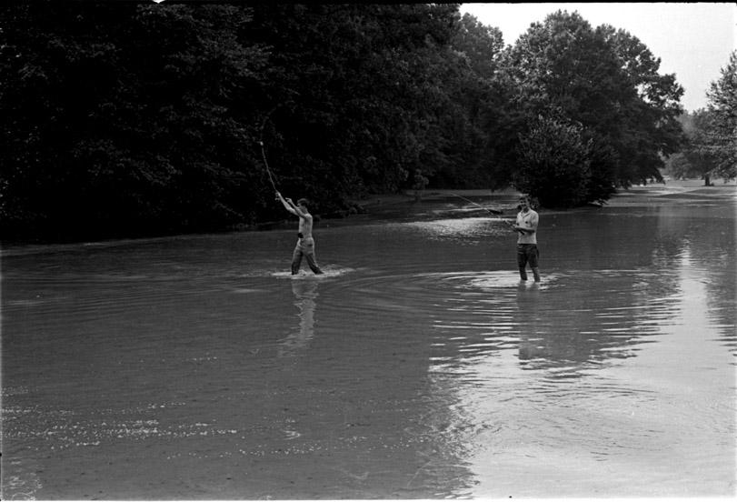 rainstormfloodsforesthillspark_5_080567.jpg