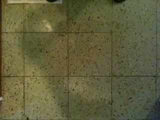 2712 Original Floor Tiles_0.JPG